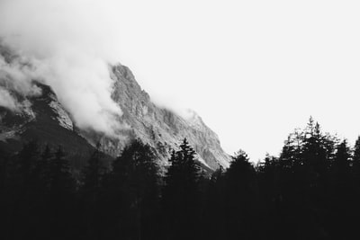 灰度森林和山的照片

